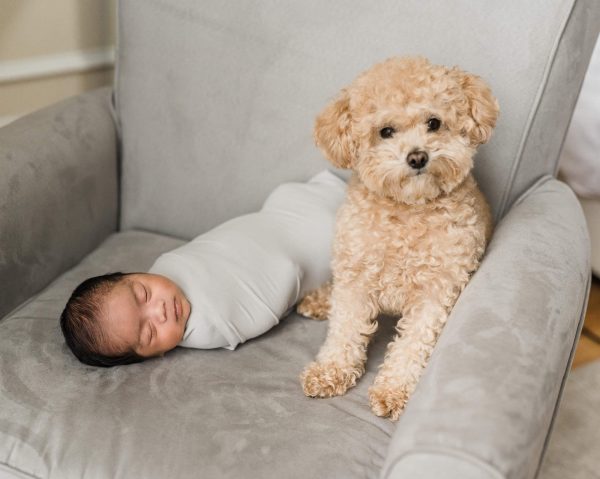 Newborn photography in Hoboken, NJ, capturing organic, soft, and intimate moments of a sleepy baby boy snuggled with the family dog.”