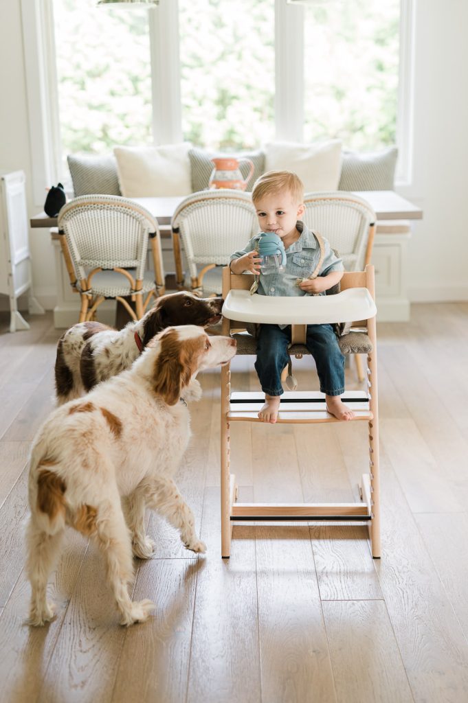 In-home family session with toddler and dog — family photographer Summit NJ
