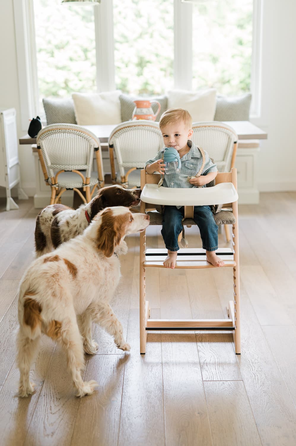 little boy drinking bottle with 2 friendly dogs close by during morning portrait session, Morris County, NJ