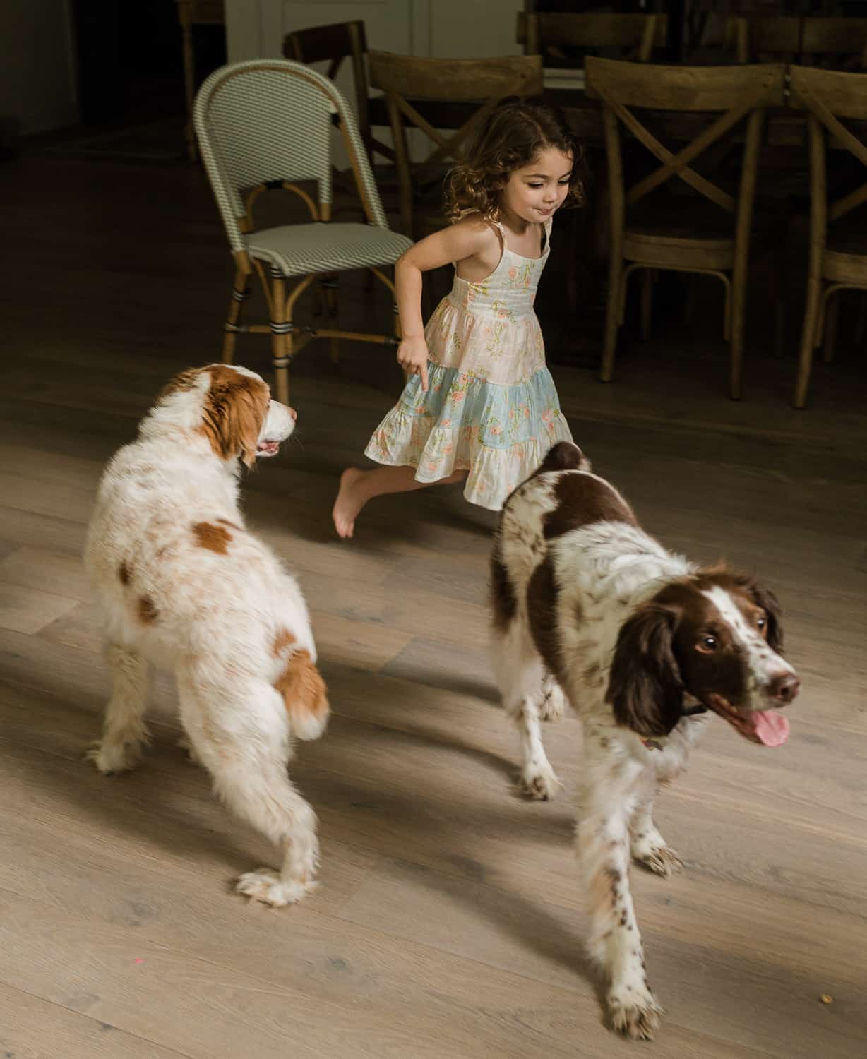little girl running and playing with 2 dogs, Summit, NJ lifestyle session