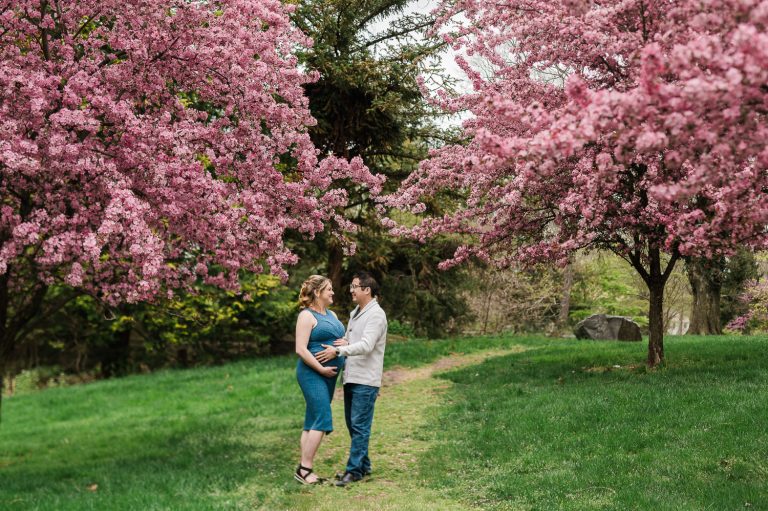 Cherry blossom maternity photos Morristown NJ — couple embracing under pink blossoms by Miriam Dubinsky Photography