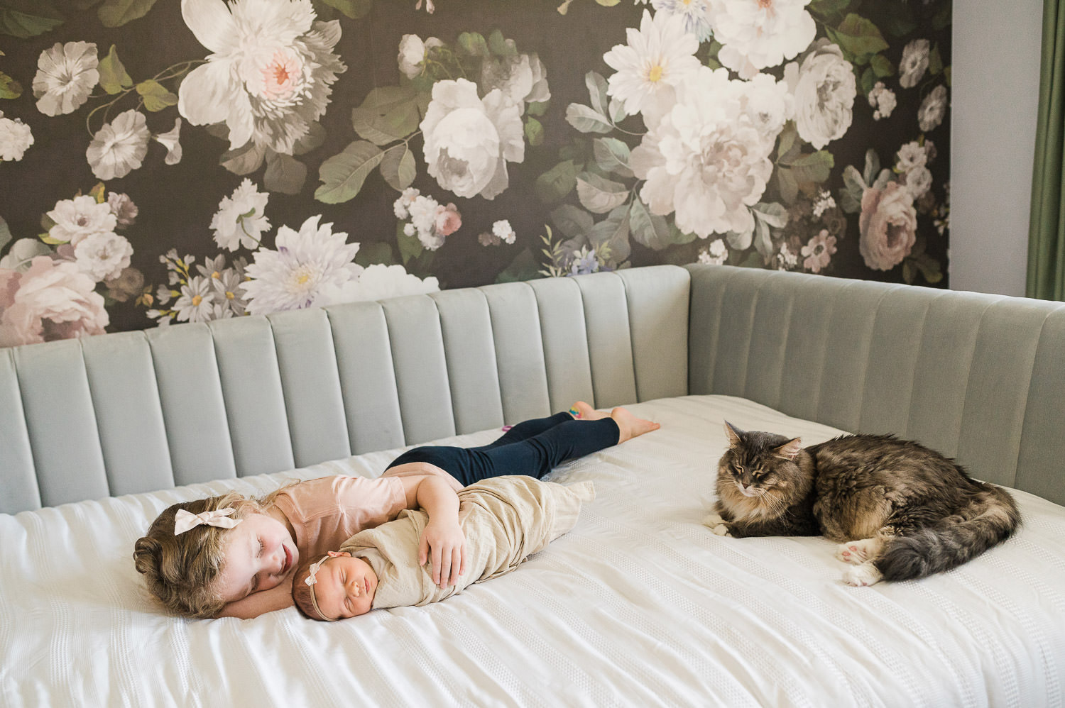 older sister lying on bed with newborn baby sister and family cat during sibling newborn session NJ