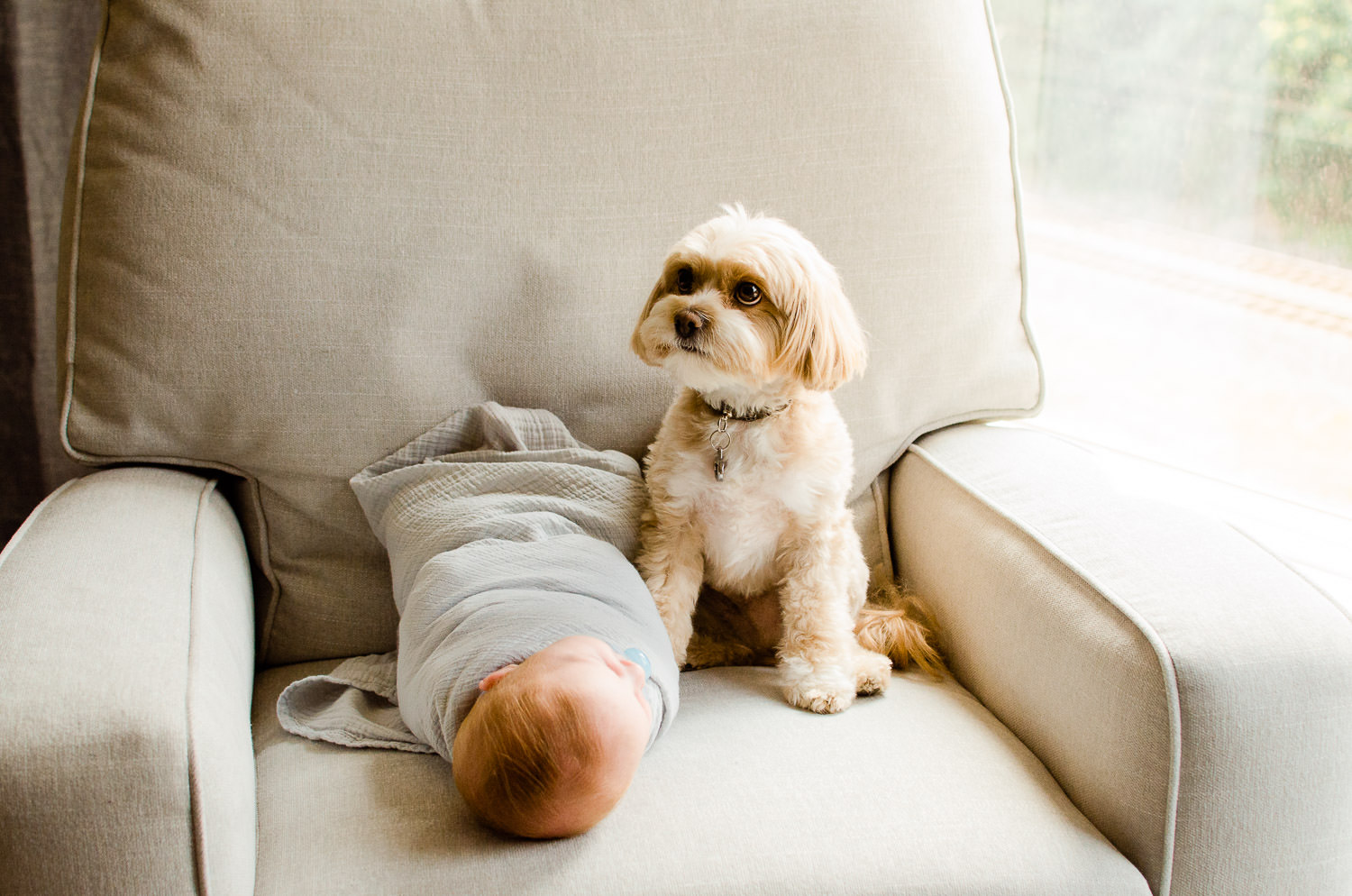 newborn baby boy with a cute dog on the bed in Hoboken NJ
