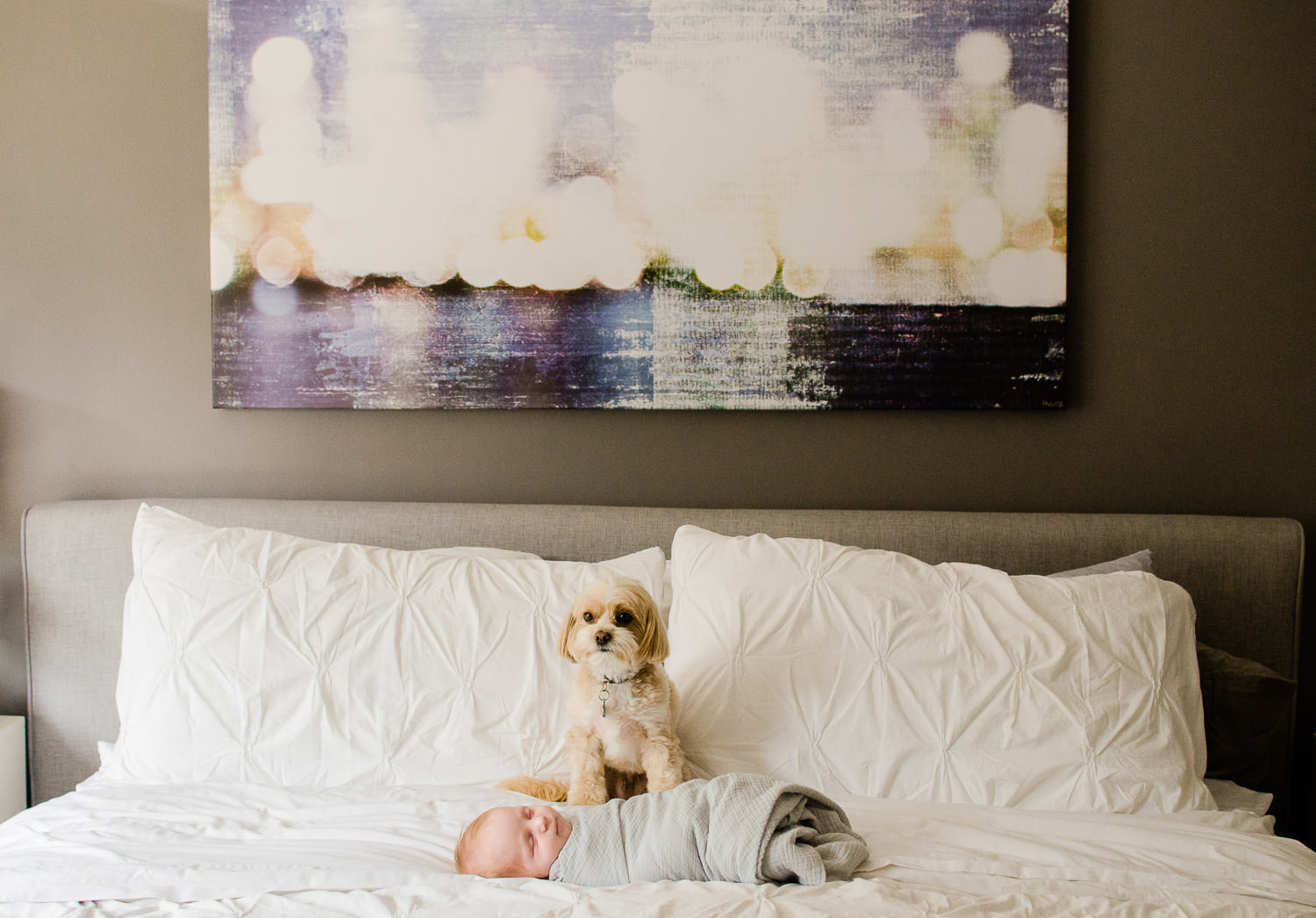 Baby and dog lying together on the bed